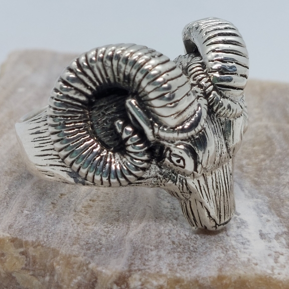 Ram size 12 ring - Picture 2 of 4